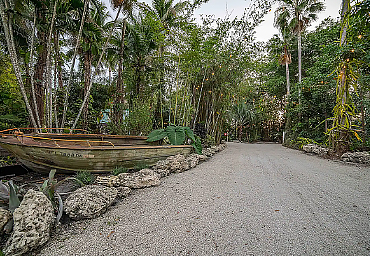 Driveway Leading to the Home