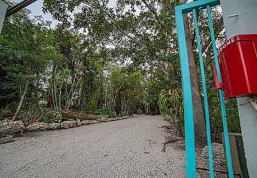 Gated and Lighted Front Driveway Leading to the Home